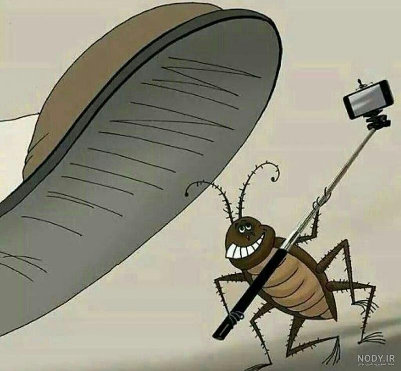عکس سوسک طنز عکس سوسک طنز
