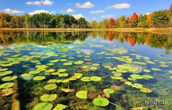 عکس طبیعت زیبا جالب