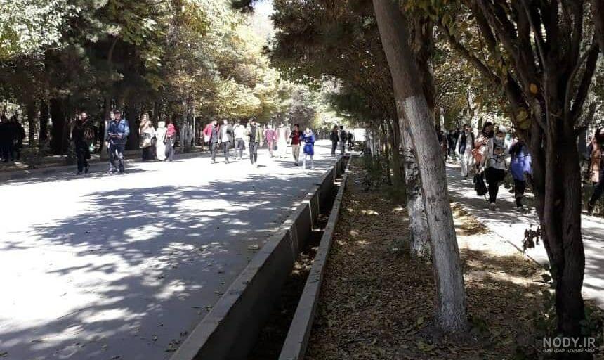 عکس های شهیدان پوهنتون کابل