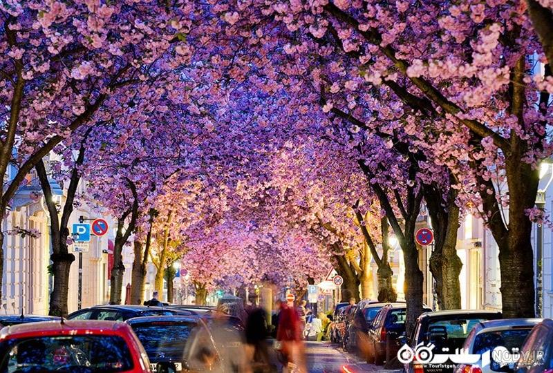 عکس های گرداب بن عکس های گرداب بن