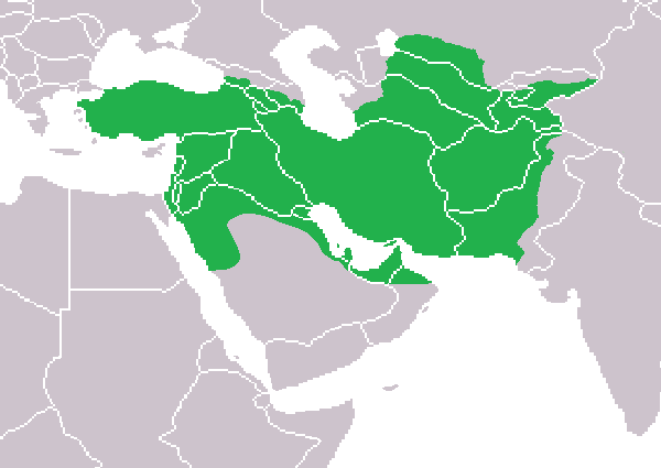 عکس کوروش کبیر واقعی