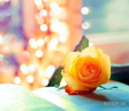 عکس گل های فانتزی برای پروفایل