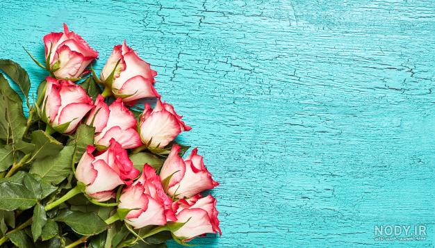 عکس گل و بلبل برای پروفایل