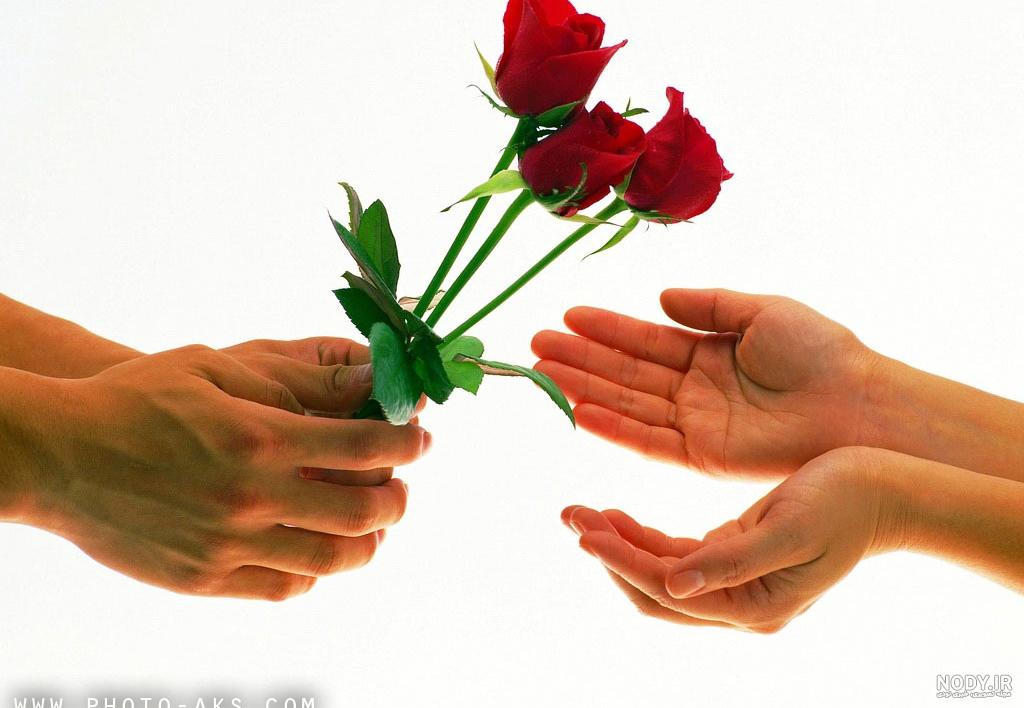 عکس گلم عشقم عکس گلم عشقم