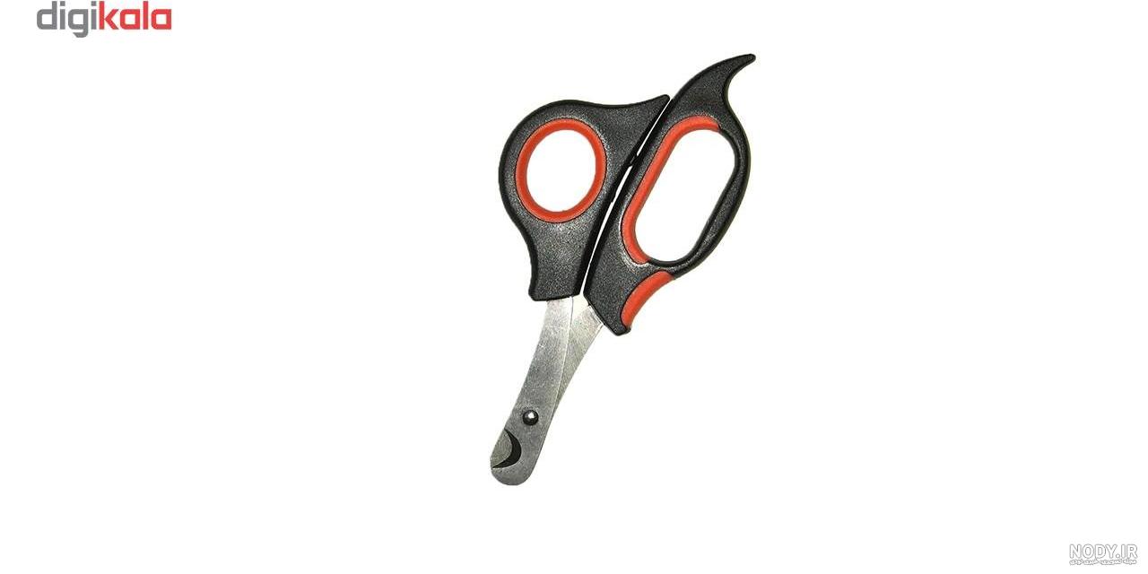 ناخن بچه گربه ناخن بچه گربه