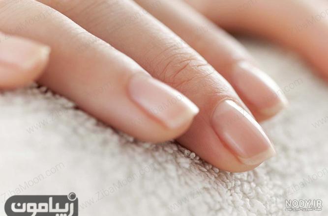 ژلیش بهتره یا لمینت نی نی سایت ژلیش بهتره یا لمینت نی نی سایت