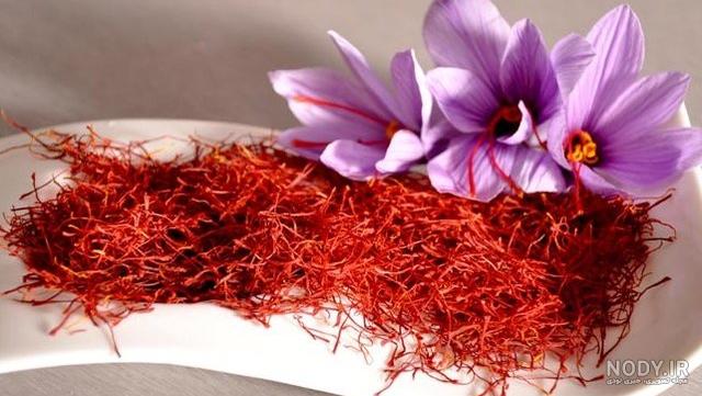 کشت گلخانه ای زعفران در مازندران کشت گلخانه ای زعفران در مازندران