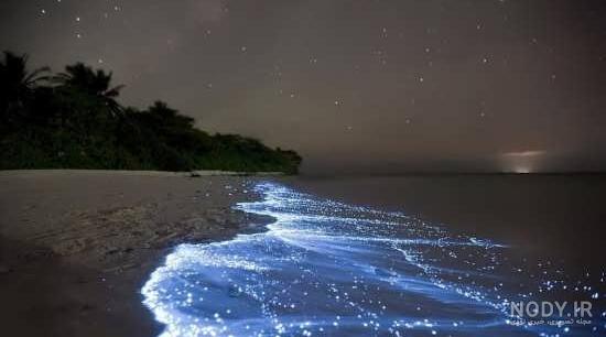  عکس دریا در شب برای پروفایل