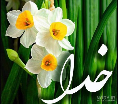تصویر زمینه نام خدا تصویر زمینه نام خدا