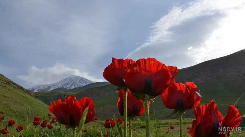 جاهای دیدنی مشهد جاهای دیدنی مشهد