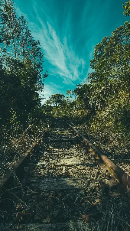 دانلود تصویر زمینه طبیعت برای کامپیوتر