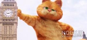 دانلود عکس گربه گارفیلد دانلود عکس گربه گارفیلد