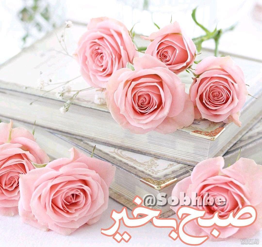 عکس صبح بخیر معلم عزیز عکس صبح بخیر معلم عزیز