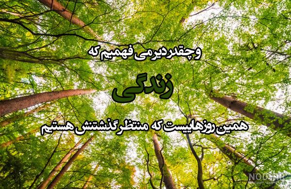 عکس طبیعت ساده عکس طبیعت ساده