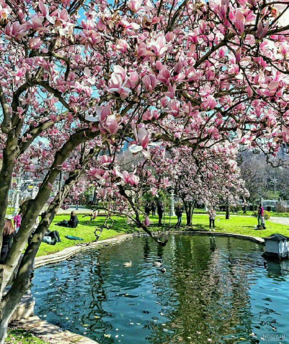 عکس منظره زیبا عکس منظره زیبا