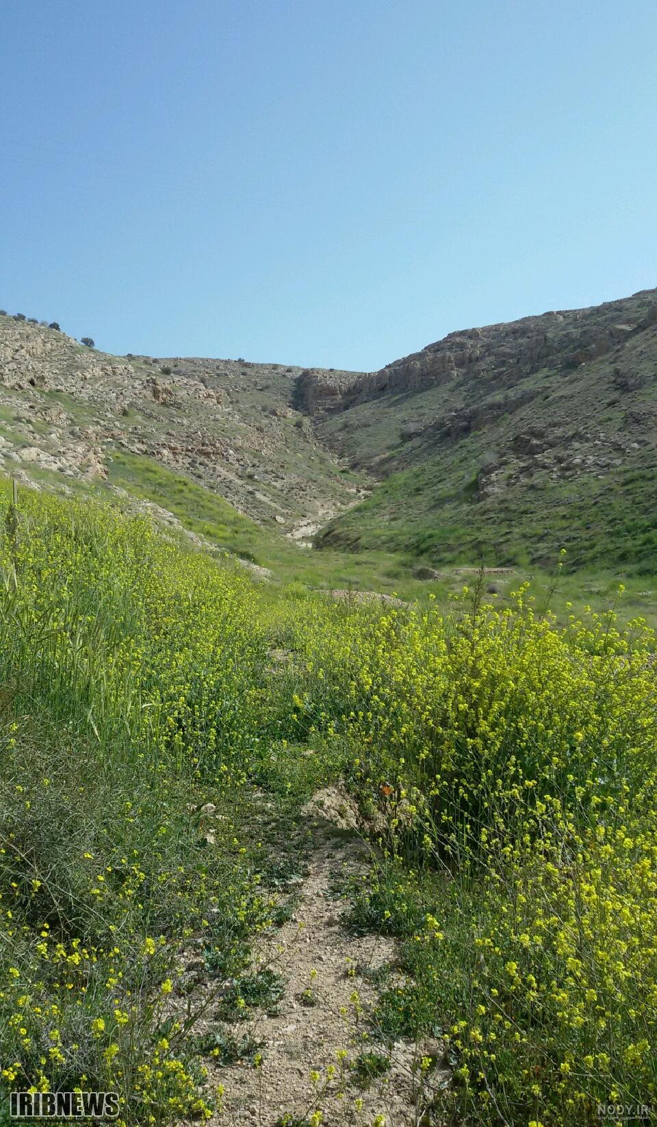 عکس یهویی طبیعی دخترونه عکس یهویی طبیعی دخترونه