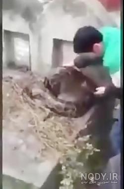 عکسهای وحشتناک عذاب قبر عکسهای وحشتناک عذاب قبر