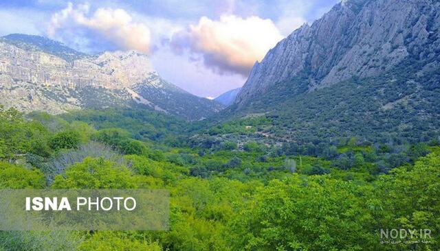 فاصله تنگ بوان تا شیراز