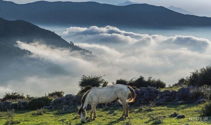 فیلبند در زمستان فیلبند در زمستان