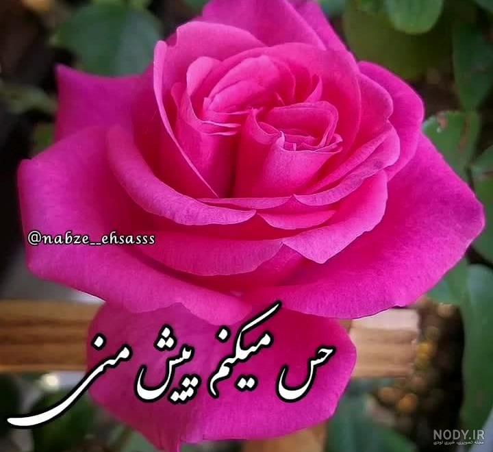 فیلم برای وضعیت واتساپ جدید دخترانه فیلم برای وضعیت واتساپ جدید دخترانه