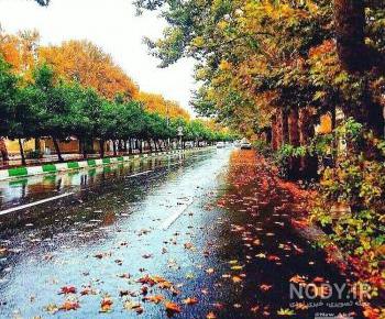 منظره عاشقانه دونفره منظره عاشقانه دونفره