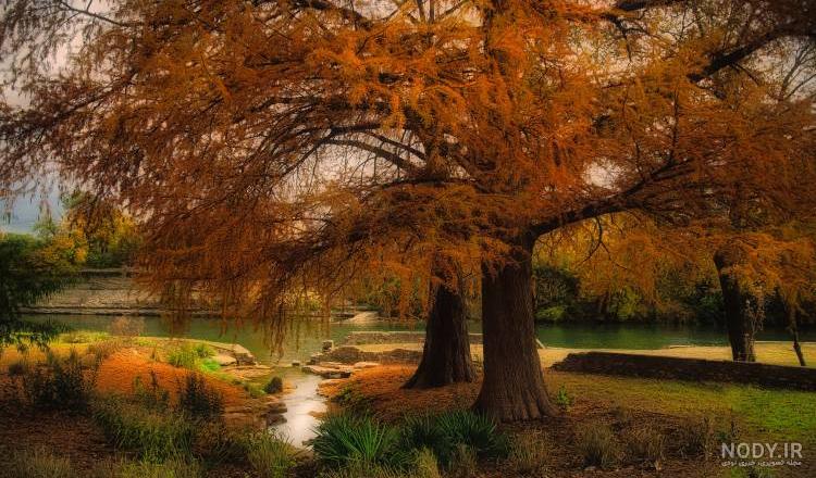 پس زمینه طبیعت برای موبایل