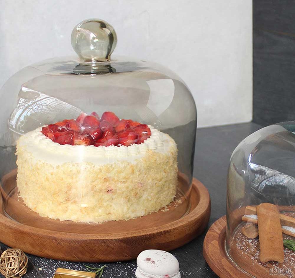 کیک خوری بامبو دیجی کالا کیک خوری بامبو دیجی کالا