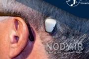 آدرس مرکز کاشت حلزون شیراز