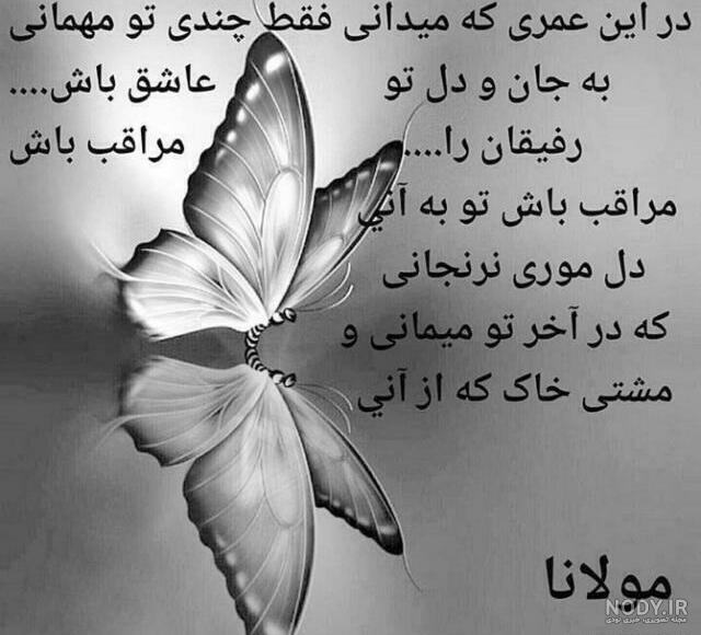 آرزوی موفقیت برای همکار آرزوی موفقیت برای همکار
