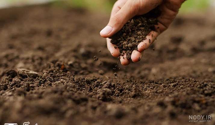تشخیص خاک قلیایی و اسیدی
