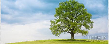 سایت عکس خام برای فتوشاپ سایت عکس خام برای فتوشاپ