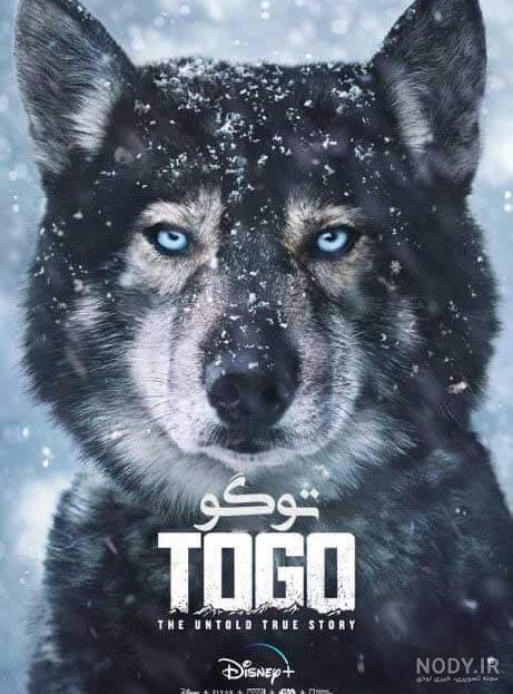سفارت ایران در توگو