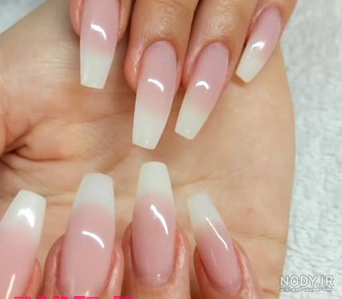 عکس از کاشت بیبی بومر