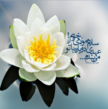 عکس امام زمان واقعی عکس امام زمان واقعی