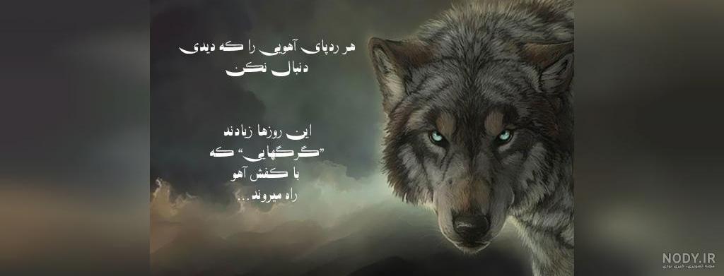 عکس انسان گرگ نما عکس انسان گرگ نما