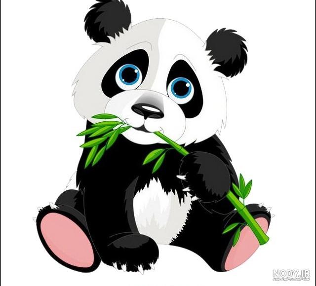 عکس ببر سیاه