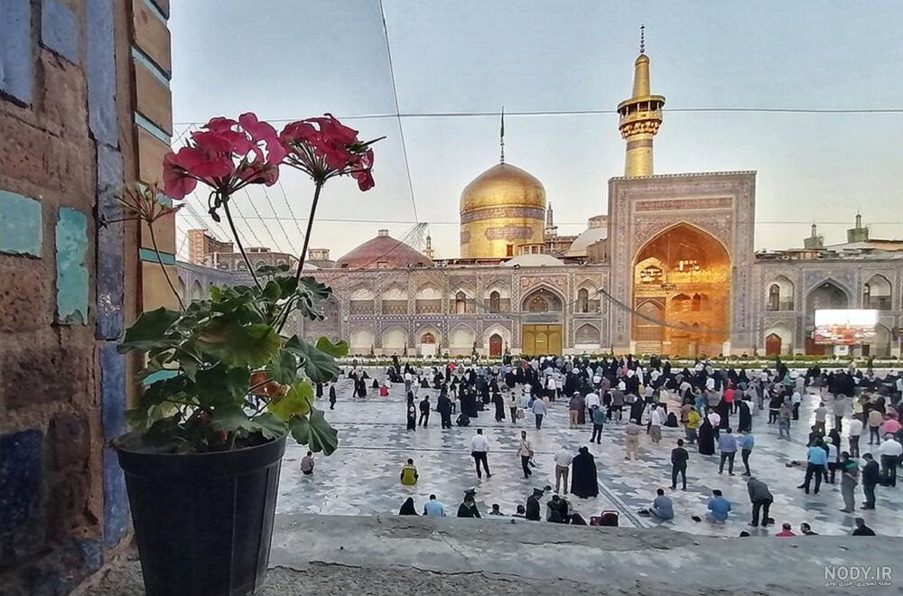 عکس پروفایل امام رضا دلتنگی