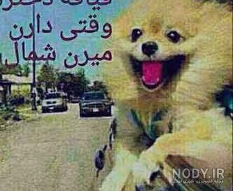 عکس پروفایل برای برنامه شاد عکس پروفایل برای برنامه شاد