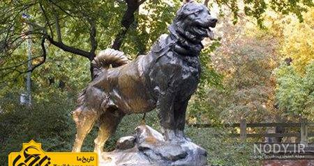 معنی اسم توگو