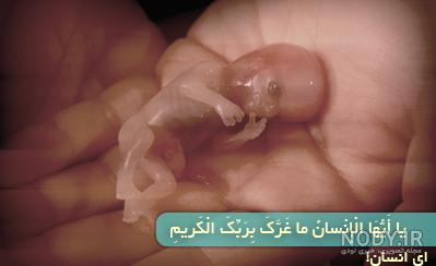 پروفایل قرآنی آرامش پروفایل قرآنی آرامش