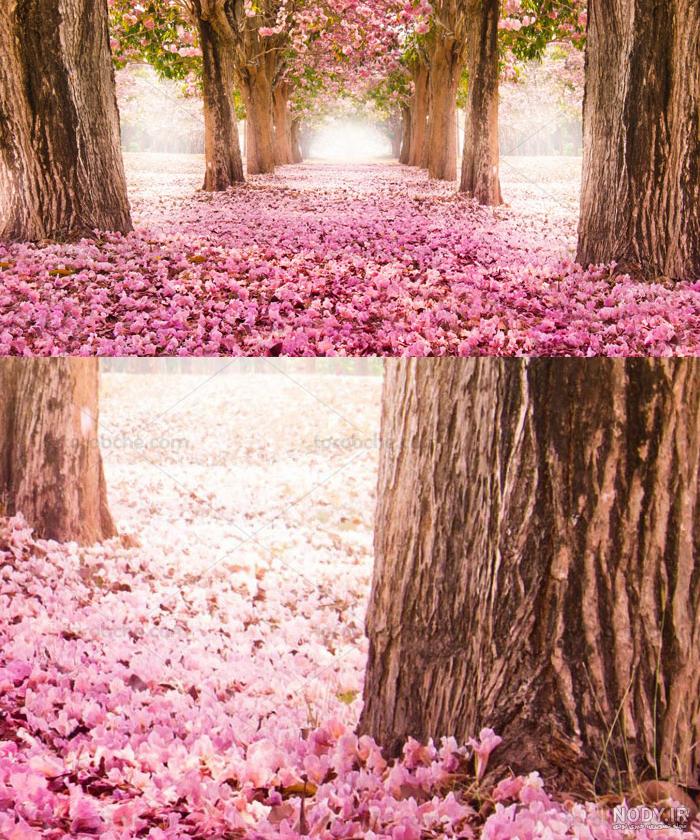 پشت صحنه عکس کودک