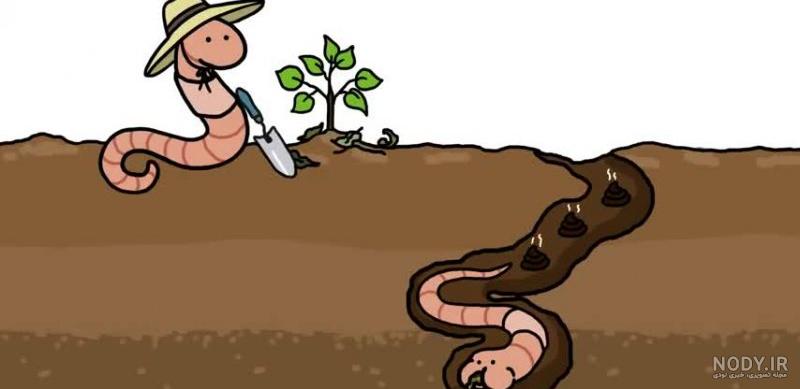 کارتون خاک بازی کارتون خاک بازی