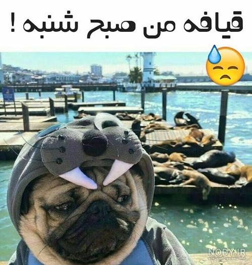 کلیپ صبح بخیر محلی