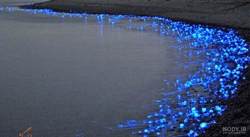 عکس خفن عکس شمال واقعی شب