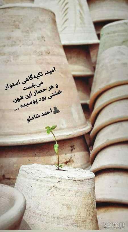 استوری باحال شاد