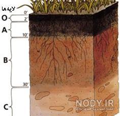 تحقیق در مورد خاک برای دبستان