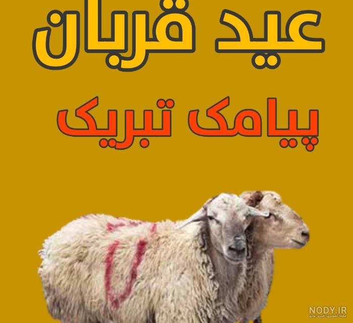 تصاویر تبریک عید قربان تصاویر تبریک عید قربان