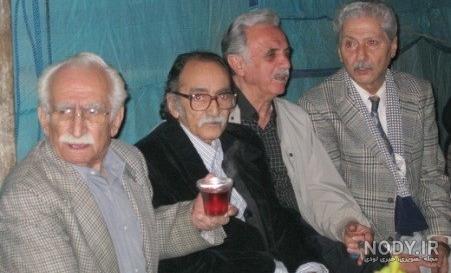 حرفهای حرفهای