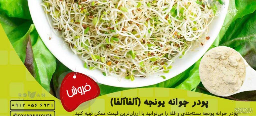 خواص پودر یونجه برای چاقی