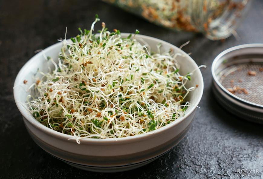 طبع یونجه گرمه یا سرد